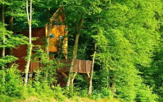 Le Chêne Perché