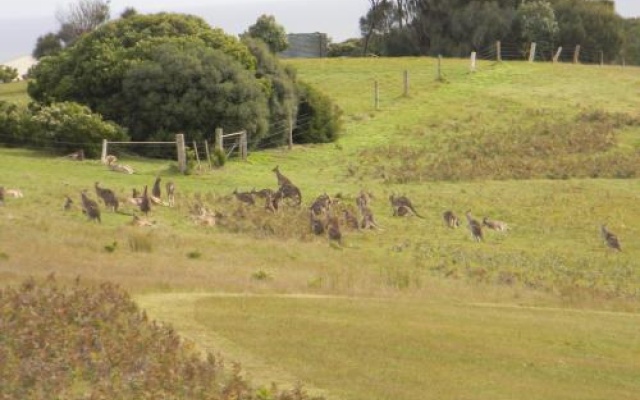 Discovery Bay Cottage – Outside – Cape Bridgewater