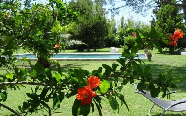Mas de Bouvet en Camargue