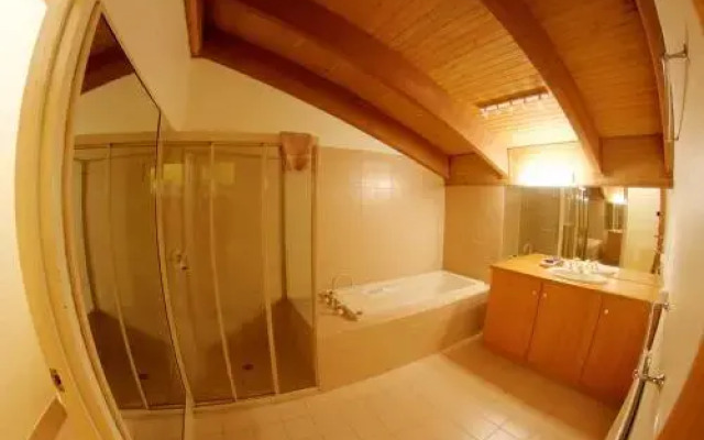 Snow Ski Apartments 41