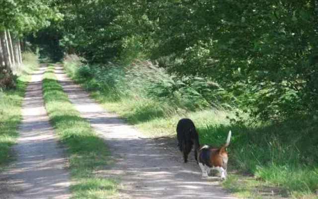 De Hagmolenbeek Boekelo