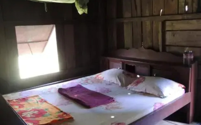 Laced Woodpecker Homestay