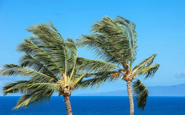 Maui Kamaole #L-202