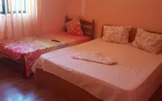 Vila Dan