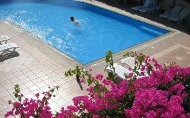 Aggeliki's Diamond