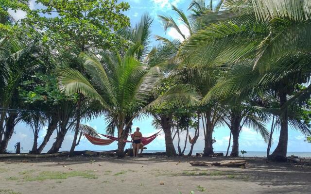 Paisajes del Tortuguero (On The Beach and Town Center)