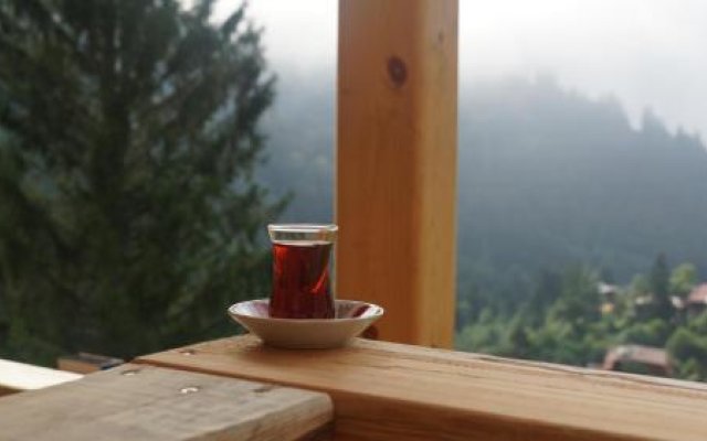 Ayder Villa Gencal