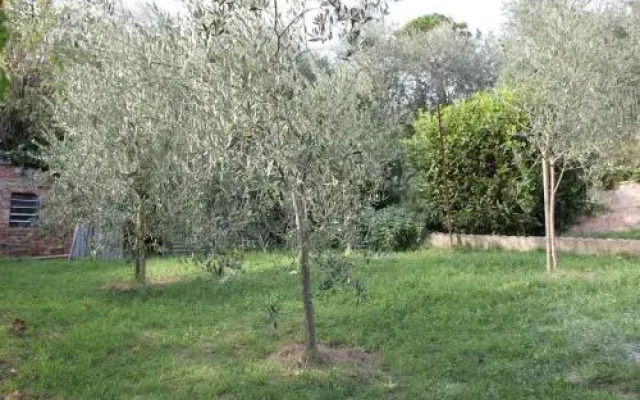 Appartamenti Le Fonti di San Carlo