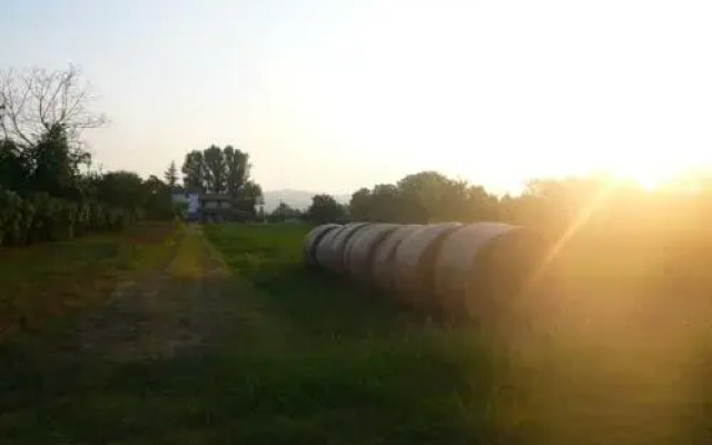 Agriturismo Bosco Del Fracasso