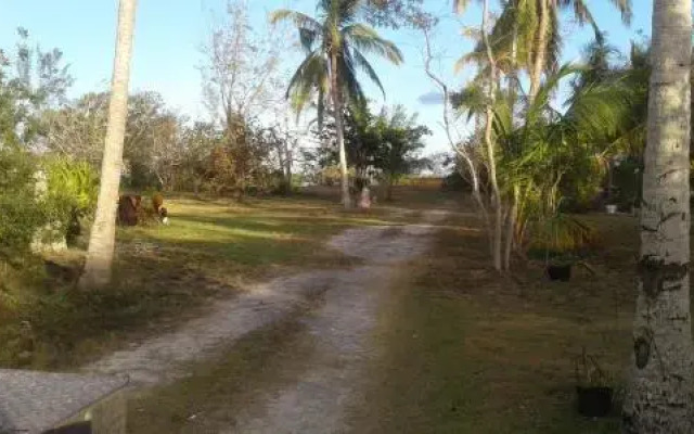 Paradise Creek Cottages