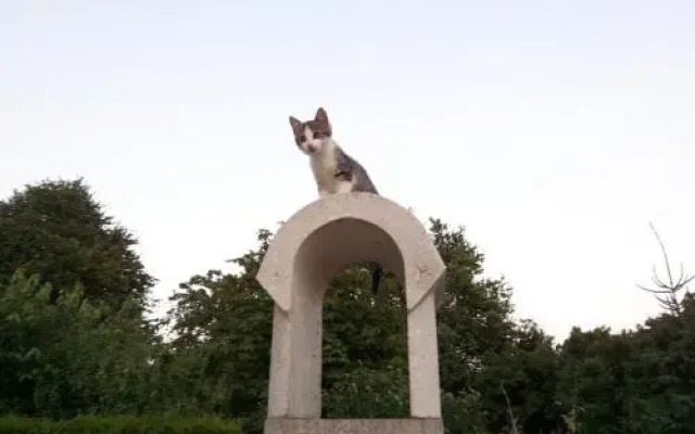 Ferienwohnungen Born