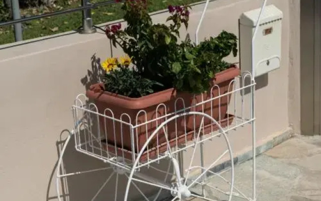 Studio Nikos