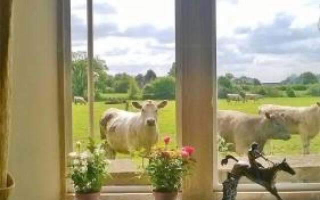 Battens Farm Cottages - B&B and Self-catering Accommodation