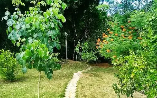 Pousada Orquideas da Canastra