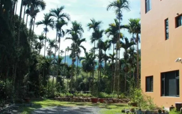 Yang Home
