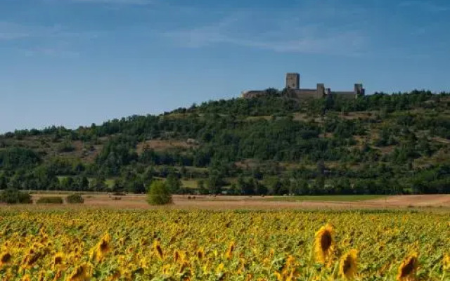 Chambres d’Hôtes Horizons Verts