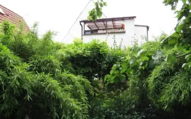 Ferienhaus und Ferienwohnung Genetzkie