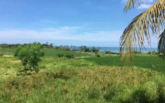 Exotica Bali Bed and Breakfast