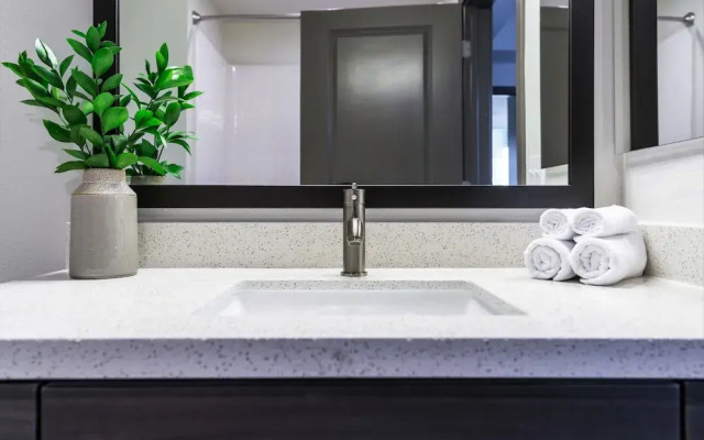 Stay Alfred on 16th Street