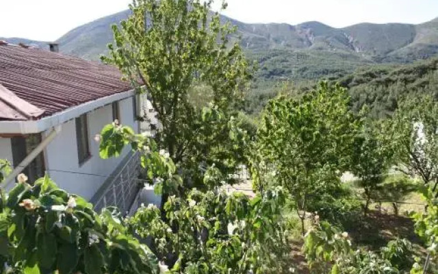 Yayla Pansiyon