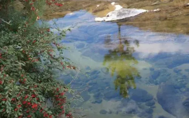 Serranias Del Tabaquillo