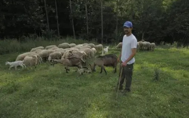 I Pascoli Di Amaltea