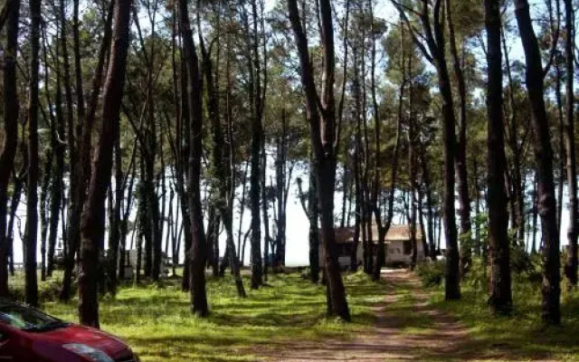 Shekvetili Beach House
