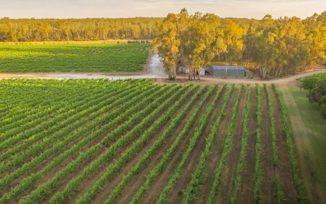 Cape Horn Vineyard Villa