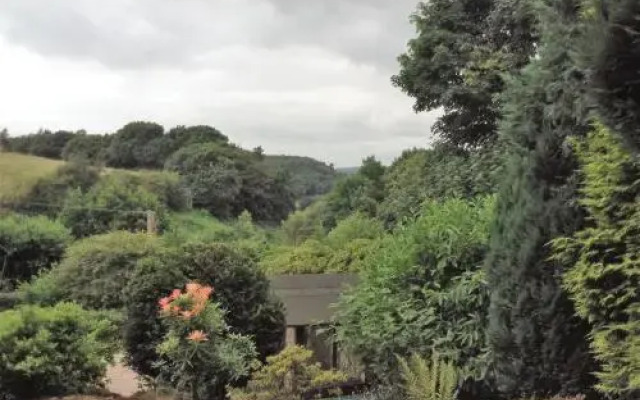 The Warren B&B