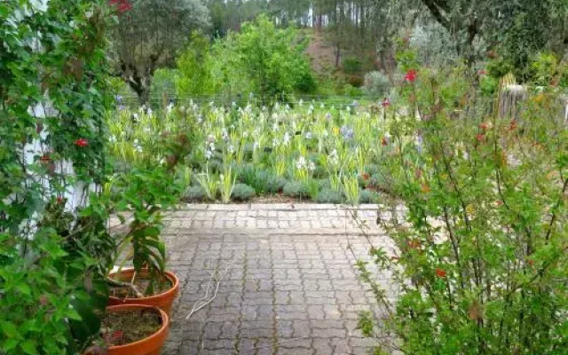 Casa Aloes Quinta das Mil Flores