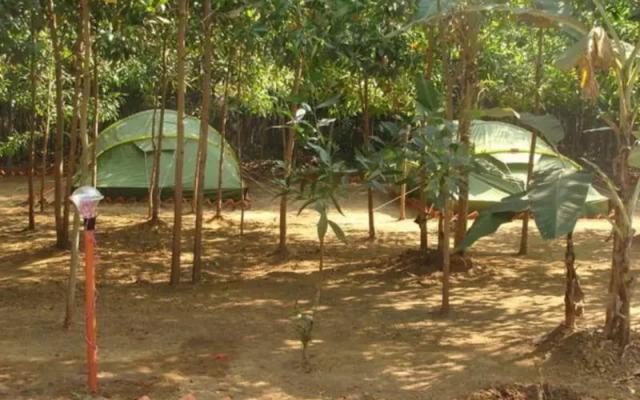 Dandeli Camps