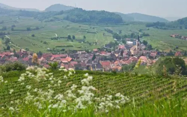 Braviscasa Haus am Bach Kaiserstuhl