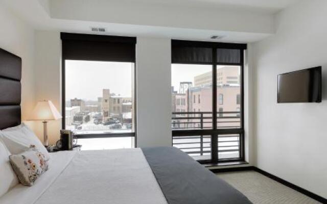 Stay Alfred on 2nd Street