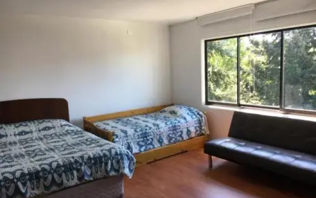 Departamento Centro Osorno