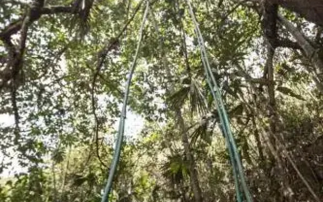 Hotel La Selva Agroecologica
