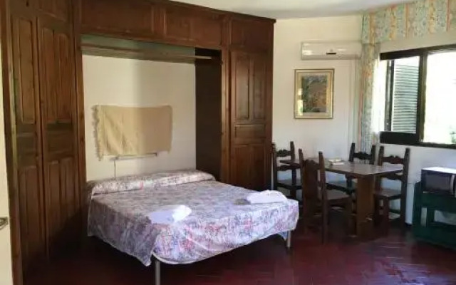 Le Palmette