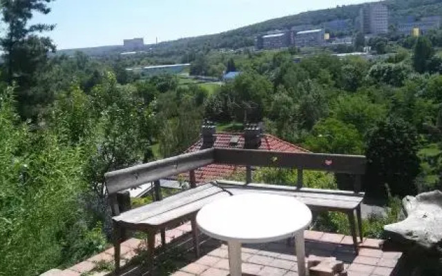 Branik Garden