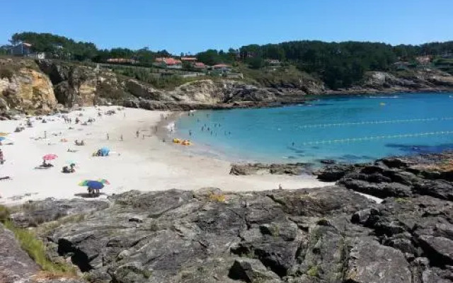 PAXARINAS