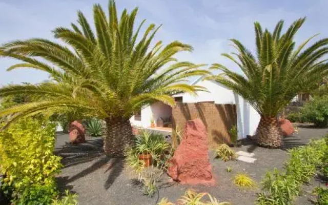 Casa Mango
