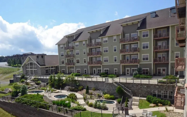 6br: Soaring Eagle 204