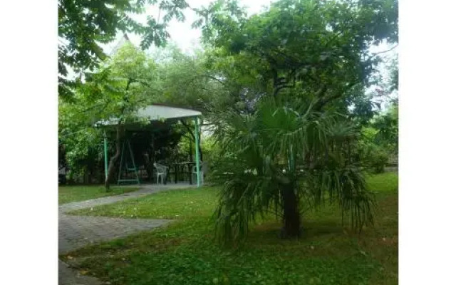 Our Yard Kobuleti Inn