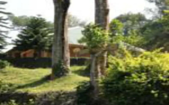 Morley's Place