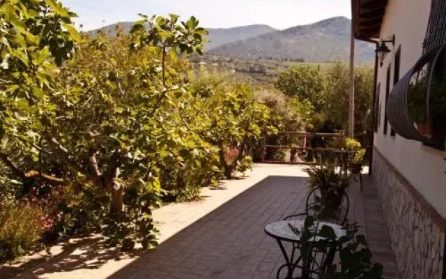 B&B Terre di Paestum