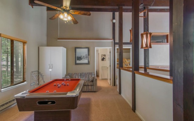 Wolf Tree by Red Awning