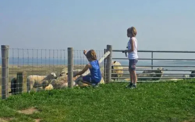 Bungalowpark 't Hoogelandt