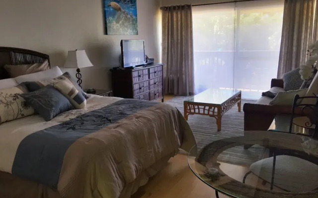 Kihei Bay Surf #257 - Studio Br Condo