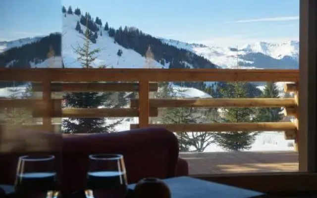 Ski Chalet Nomad
