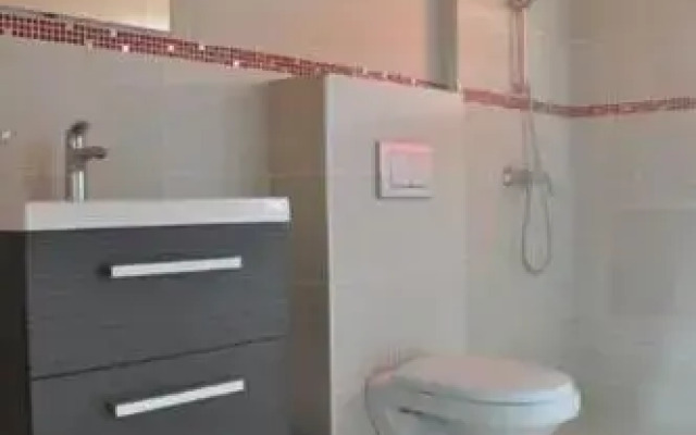 Solo Cu Santo