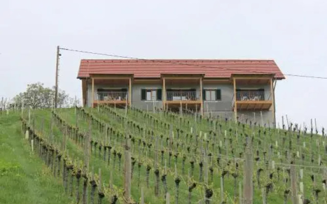 Winzerhaus am Gamlitzberg