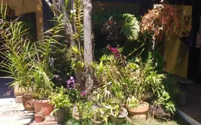 Suíte no jardim - Praia dos Anjos